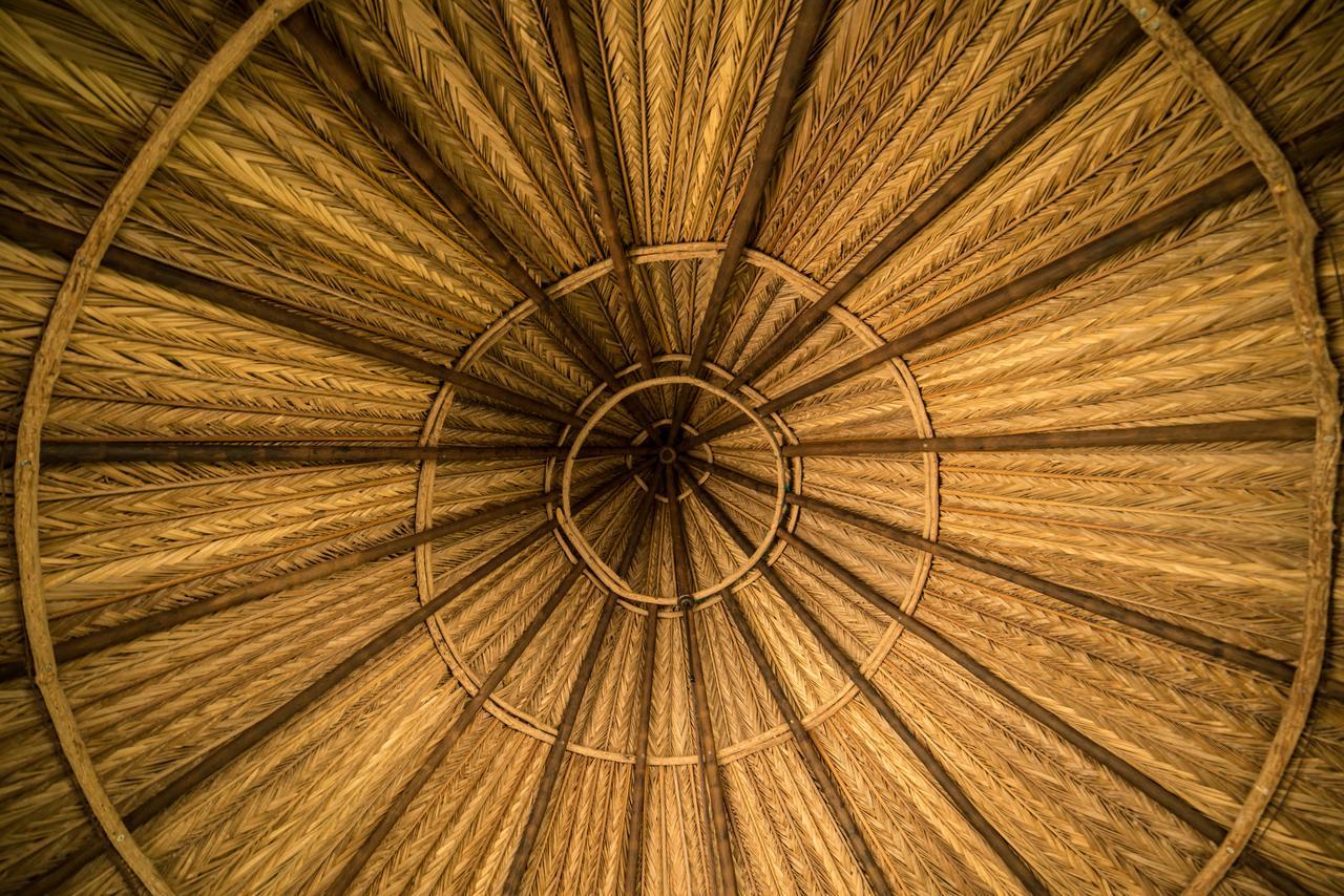 One Santuario Hotel Y Reserva Natural Palomino Luaran gambar